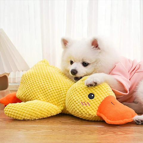 50% OFF 🔥 Calming Duck Toy 2026