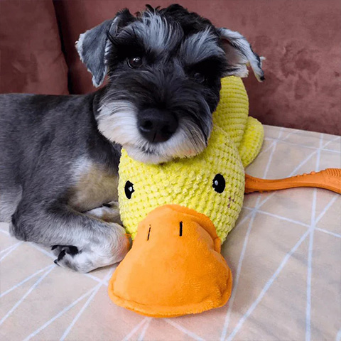 50% OFF 🔥 Calming Duck Toy 2026