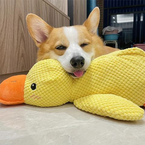 50% OFF 🔥 Calming Duck Toy 2026