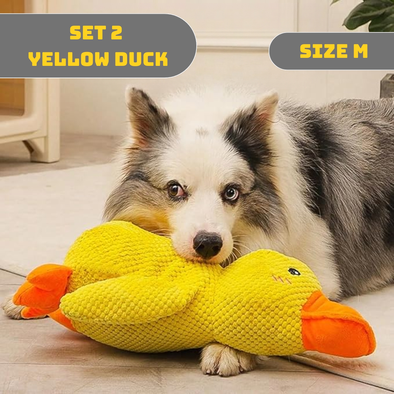 50% OFF 🔥 Calming Duck Toy 2026