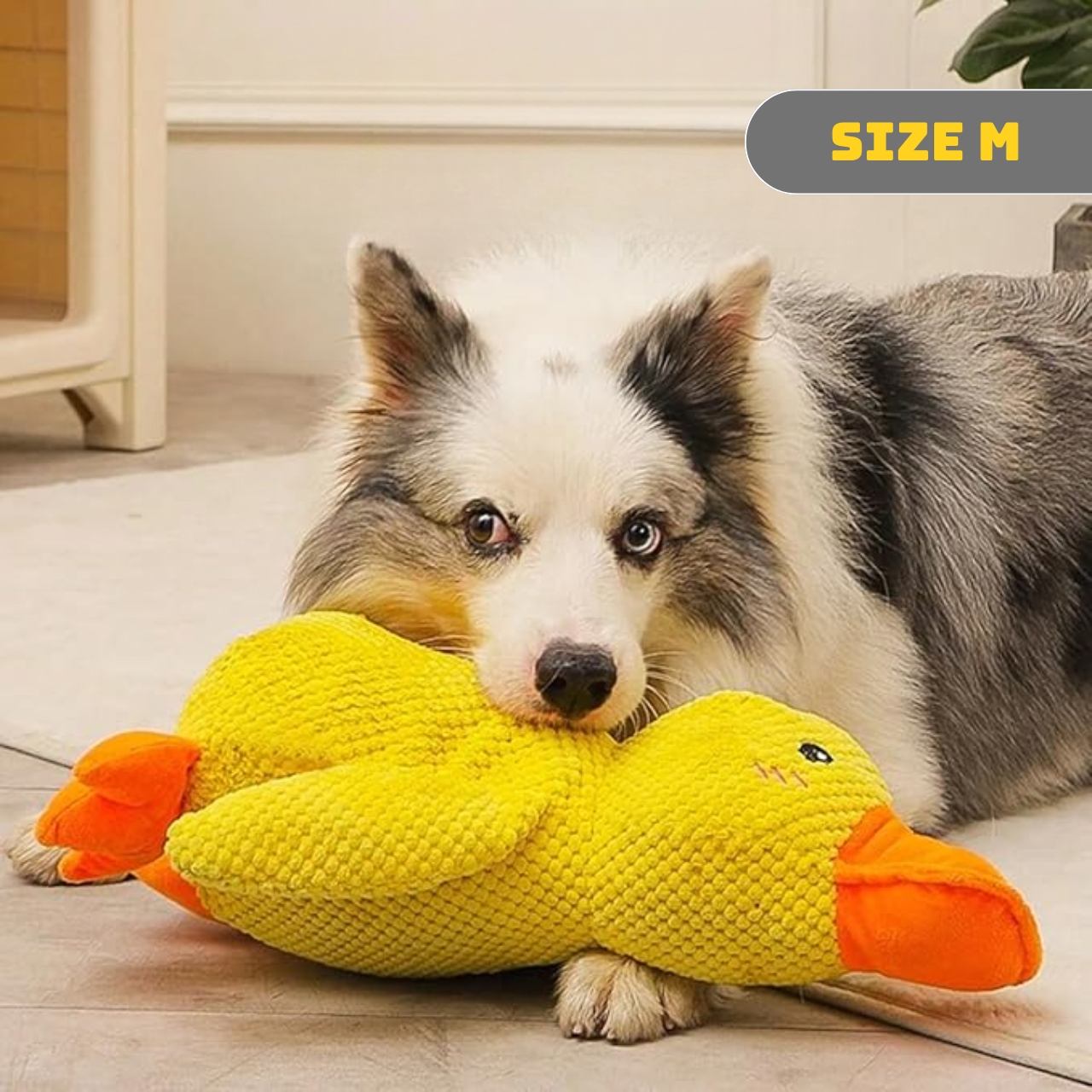 50% OFF 🔥 Calming Duck Toy 2026