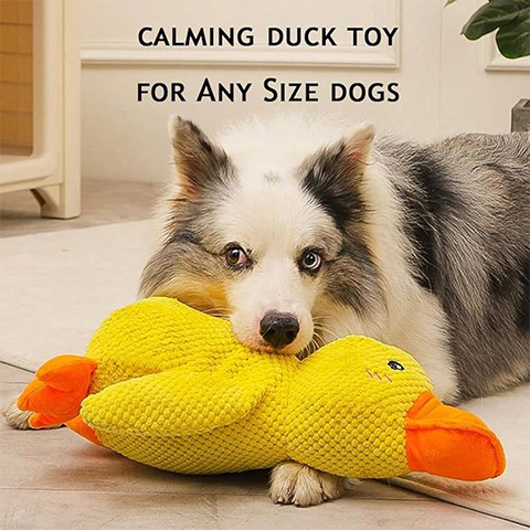 50% OFF 🔥 Calming Duck Toy 2026