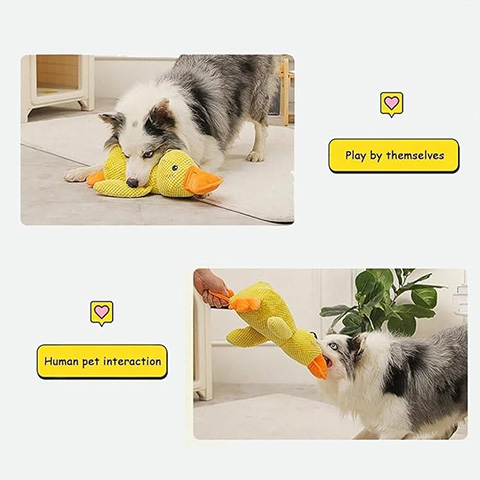 50% OFF 🔥 Calming Duck Toy 2026