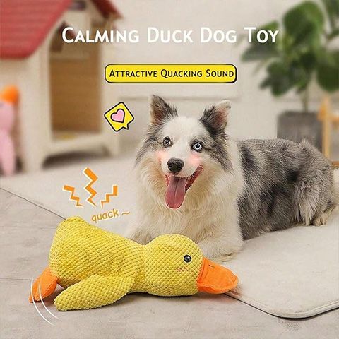 50% OFF 🔥 Calming Duck Toy 2026