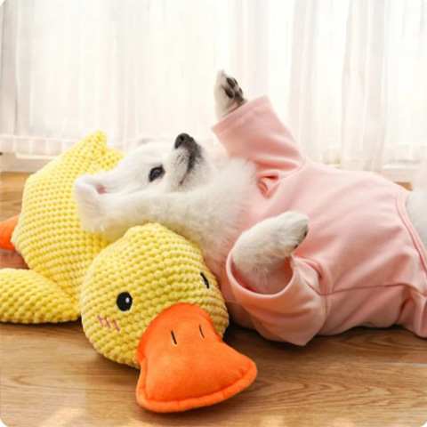 50% OFF 🔥 Calming Duck Toy 2026